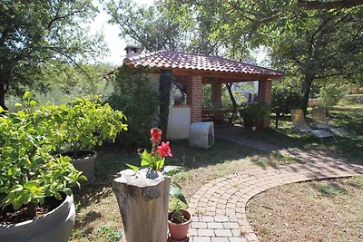 Appartamento Vacanza con famiglia Sužan