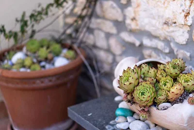 Ferienhaus traditionell eingerichtet in der