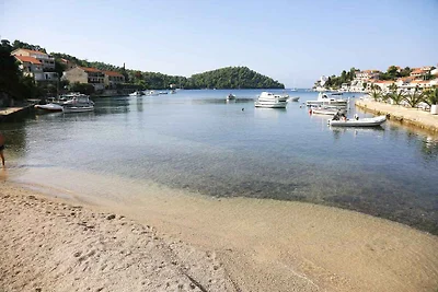 Appartamento Vacanza con famiglia Smokvica