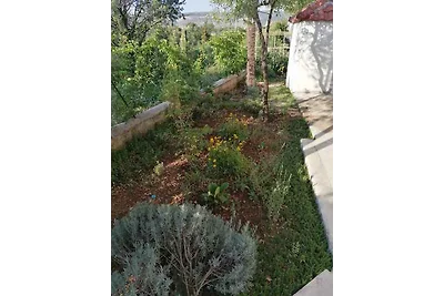 Ferienhaus nahe zu Nationalpark Paklenica