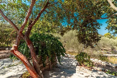 Vakantieappartement Gezinsvakantie Vela Luka