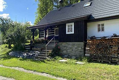 Ferienhaus mit Waschmaschine und überdachter