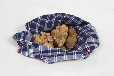 Ferienwohnung mit Terrasse und Pool