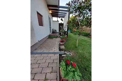 Ferienhaus mit Pool und Internet