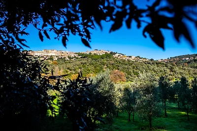 Casa vacanze Vacanza di relax San Vincenzo