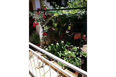 Ferienwohnung mit Terrasse