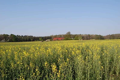 Ferienwohnung in der Natur mit Terrasse
