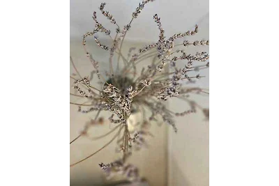 Ferienwohnung mit drahtlosem Internet