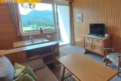 Appartamento Vacanza con famiglia Bad Mitterndorf