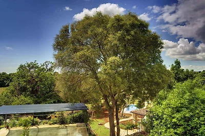 Casa vacanze Vacanza di relax Ližnjan