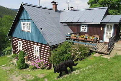 Ferienwohnung mit Whirlpool und schöner