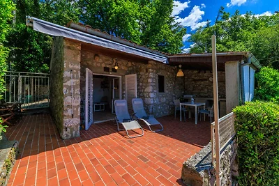 Ferienhaus mit grosser Terrasse
