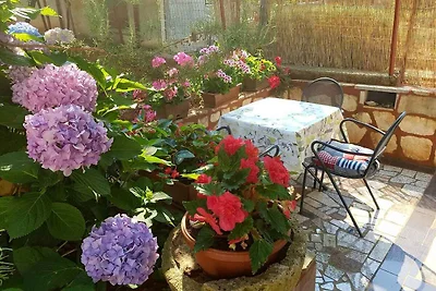 Appartamento Vacanza con famiglia Pjescana uvala