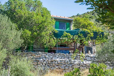 Ferienhaus mit Grill, am Meer