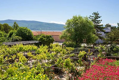 Vakantieappartement Gezinsvakantie Krk