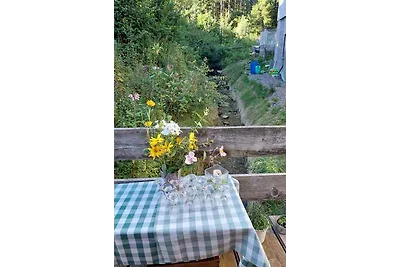 Studio mit Balkon und Internet