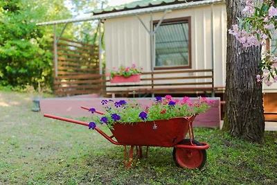 Appartamento Vacanza con famiglia Malinska