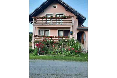 Ferienhaus mit Garten und Grill