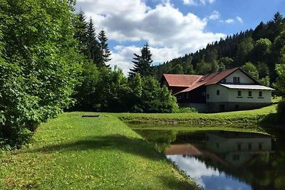 Berghütte mit Bademöglichkeit, Spielplatz und