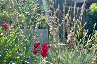 Ferienwohnung mit Terrasse und Klimaanlage