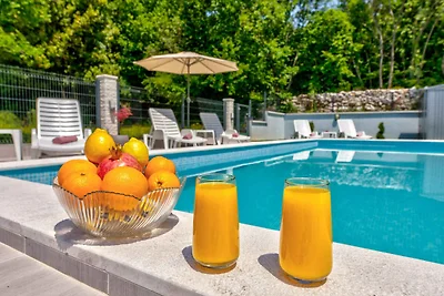 Ferienhaus mit Swimmingpool, Terrasse und