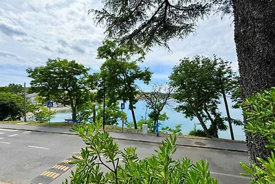 Charmante Ferienwohnung Scheich in Šilo auf d