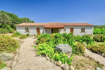 Ferienwohnung Meer von Wacholder