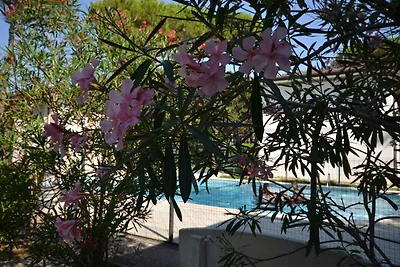 Ferienwohnung mit Gemeinschaftspool und