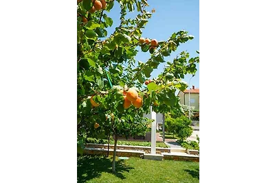 Ferienwohnung mit Garten zur gemeinsamen