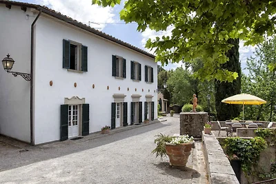 Villa umgeben von Olivenhainen und Pinienwald