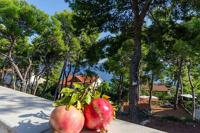 Appartamento Vacanza con famiglia Zavalatica