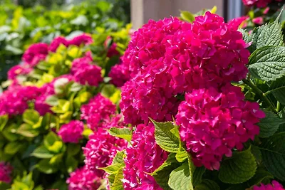 Apartament Dla rodzin Veli Losinj