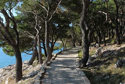 Charmante Ferienwohnung Ive in Tisno auf der 