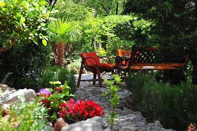 Casa vacanze Vacanza di relax Starigrad