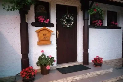 Ferienwohnung im Skigebiet