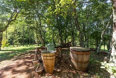 Villa Vier Eichen – Ein ruhiger Rückzugsort i