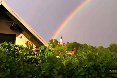 Ferienwohnung mit herrlichen Blick auf