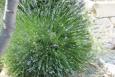 Holiday flat family holiday Kanica