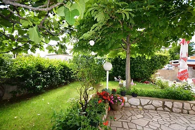 Ferienwohnung mit Terrasse und Internet