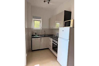 Ferienwohnung Apartment Nikola 3+1