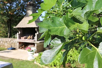 Ferienwohnung mit Klimaanlage und Meerblick