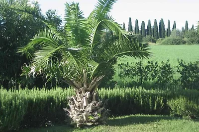 Vakantieappartement Gezinsvakantie Verona