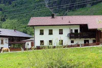 Appartamento Vacanza con famiglia Schmirn