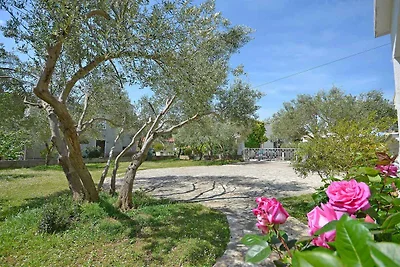 Vakantieappartement Gezinsvakantie Vodice
