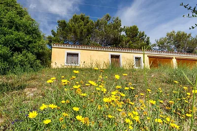Ferienwohnung Li Scalitti Zwei-Zimmer-Wohnung