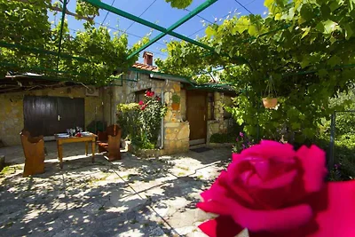Vakantiehuis Ontspannende vakantie Valbandon