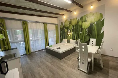 Studio in der Nähe vom Wasser mit grosser Ter