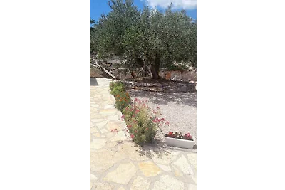 Vakantiehuis Ontspannende vakantie Raslina