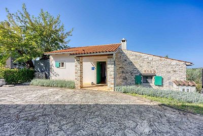 Ferienhaus mit Klimaanlage und Terrasse