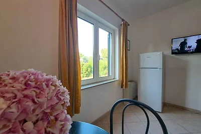 Ferienwohnung mit Klimaanlage und Internet